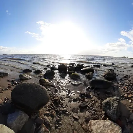 Richters Deich-oase *