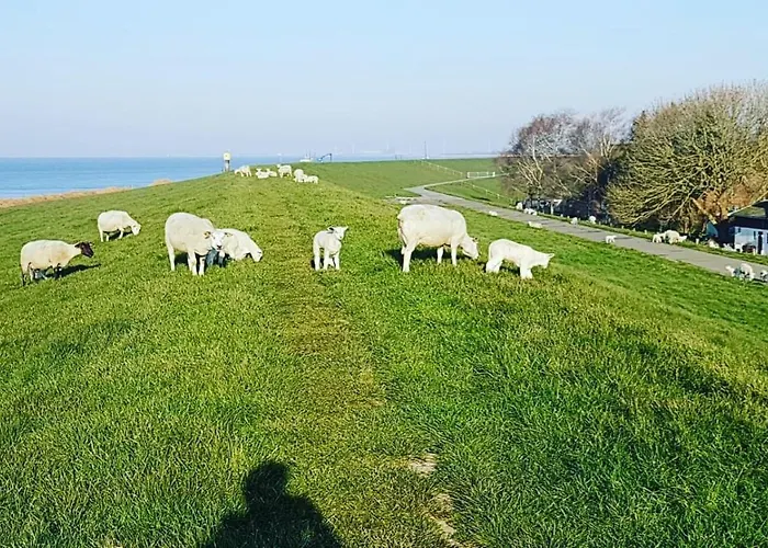 Apartment Richters Deich-oase